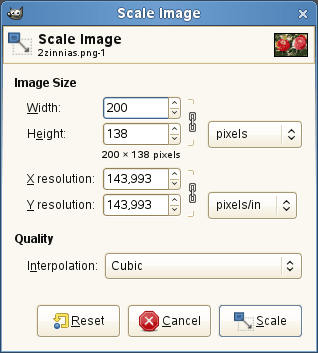 The „Scale Image“ dialog