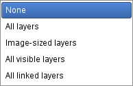 The Resize layers list