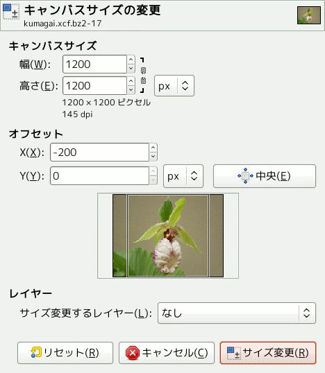 The 「Set Image Canvas Size」 dialog