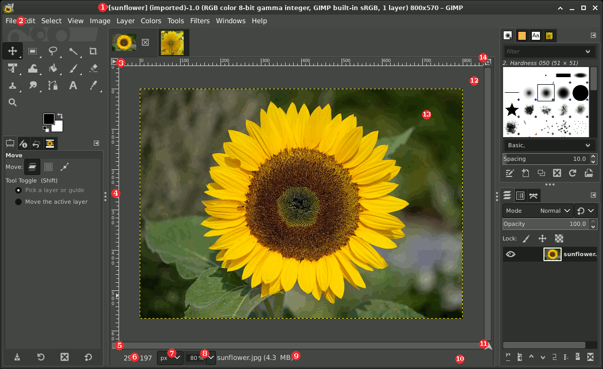 The Image Area in Single-Window Mode