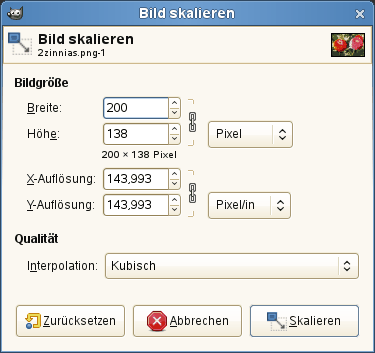 Das Dialogfenster „Bild skalieren“