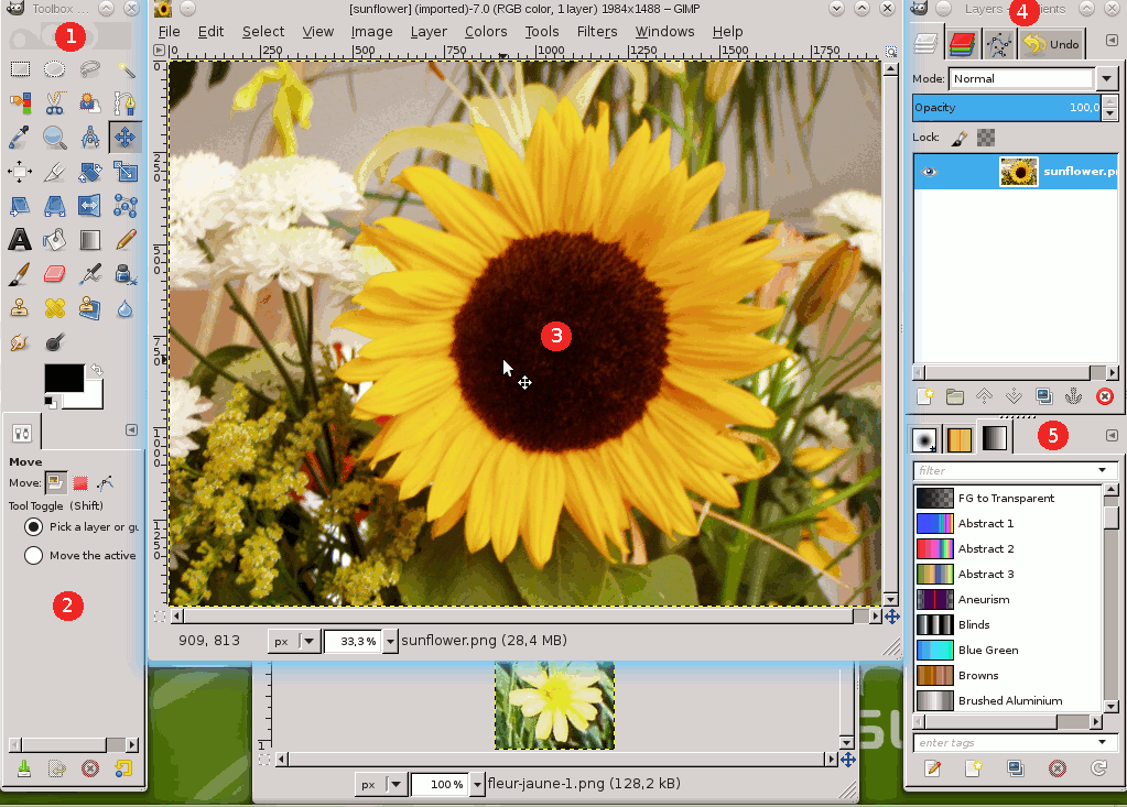 gimp app