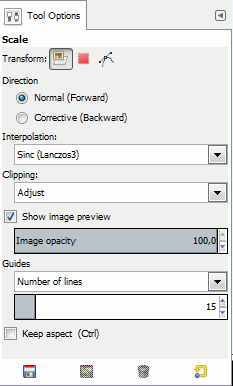 Tool options for the Scale tool