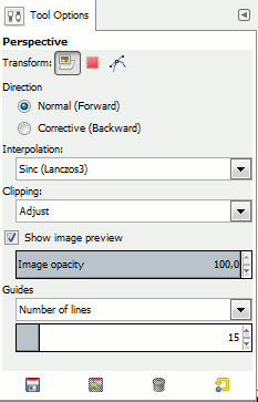 Perspective tool options