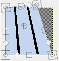 Perspective Constraint Option