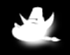 Ein Bild mit Alphakanal