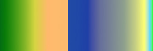 Step option example