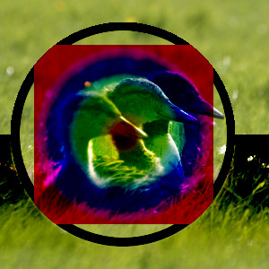 Example for layer mode Burn