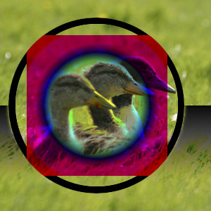 Example for layer mode Darken only