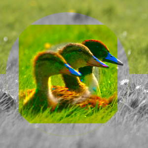 Example for layer mode LCh Chroma