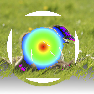 Example for layer mode Luma/Luminance lighten only