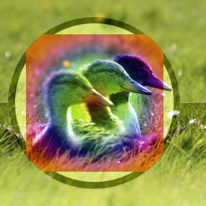 Example for layer mode Soft light