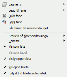 Eit dokkpanel.