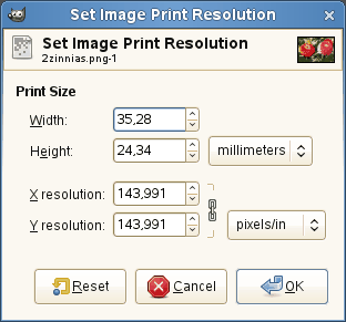 Dialog for Setting Print Size